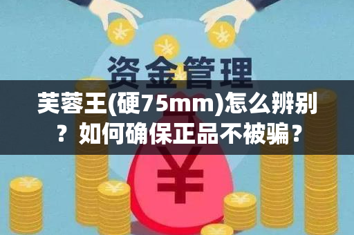 芙蓉王(硬75mm)怎么辨别？如何确保正品不被骗？